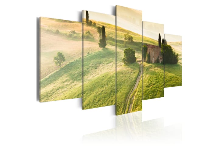 Taulu Green Tuscany 100x50 - Artgeist sp. z o. o. - Sisustustuotteet - Taulu & taide - Canvas-taulu