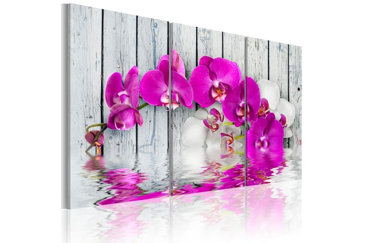 Taulu Harmony: orchid Triptych 90x60 - Artgeist sp. z o. o. - Sisustustuotteet - Taulu & taide - Canvas-taulu