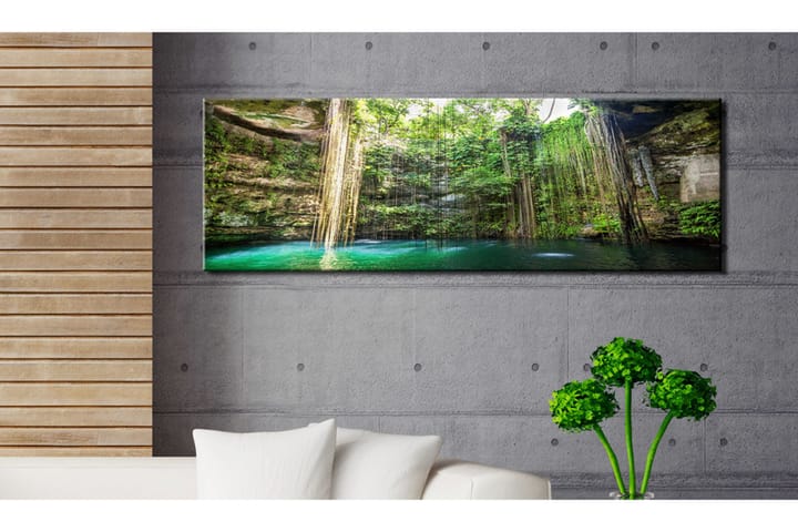 Taulu Hidden Treasure Of The Nature 120x40 - Artgeist sp. z o. o. - Sisustustuotteet - Taulu & taide - Canvas-taulu