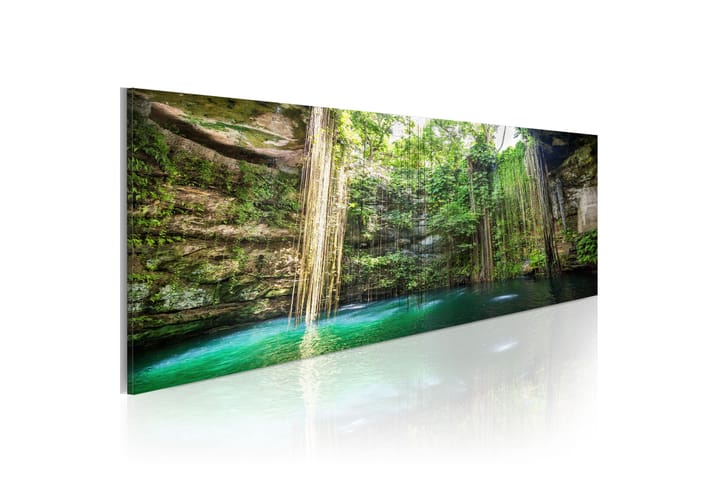 Taulu Hidden Treasure Of The Nature 120x40 - Artgeist sp. z o. o. - Sisustustuotteet - Taulu & taide - Canvas-taulu