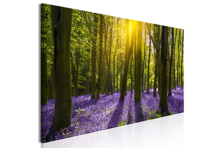 Taulu Hyacinth Field (1 Part) Narrow 120x40 - Artgeist sp. z o. o. - Sisustustuotteet - Taulu & taide - Canvas-taulu