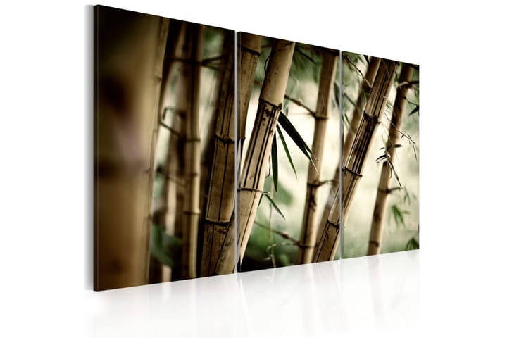 Taulu In a tropical forest 90x60 - Artgeist sp. z o. o. - Sisustustuotteet - Taulu & taide - Canvas-taulu