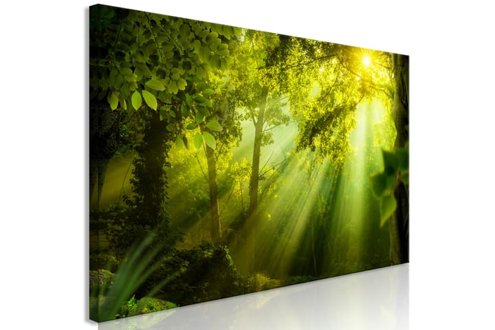 Taulu In the Sunshine (1 Part) Narrow 135x45 - Artgeist sp. z o. o. - Sisustustuotteet - Taulu & taide - Canvas-taulu