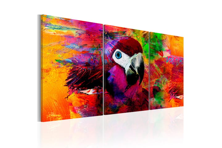 Taulu Jungle of Colours 120x60 - Artgeist sp. z o. o. - Sisustustuotteet - Taulu & taide - Canvas-taulu