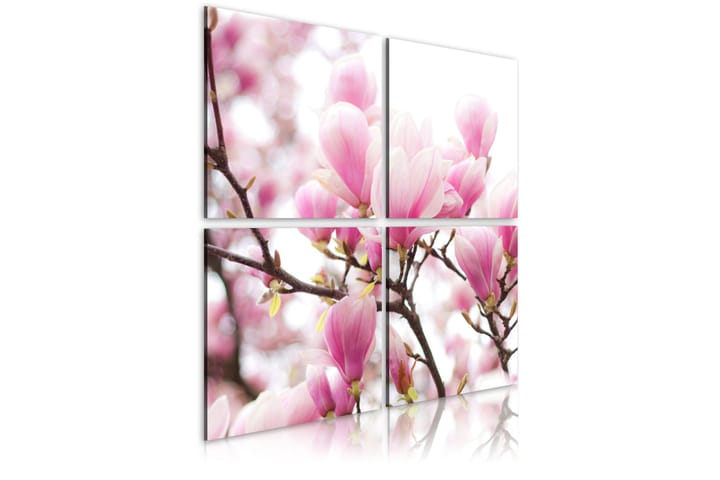 Taulu Kukkiva Magnoliapuu 90x90 - Artgeist sp. z o. o. - Sisustustuotteet - Taulu & taide - Canvas-taulu