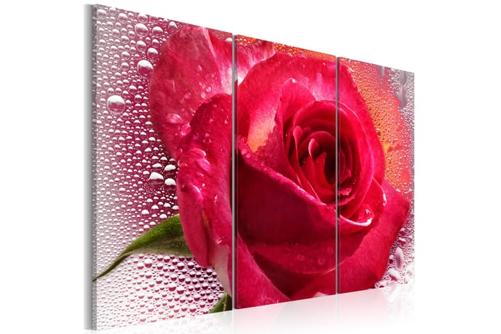 Taulu Lady Rose Triptych 120x80 - Artgeist sp. z o. o. - Sisustustuotteet - Taulu & taide - Canvas-taulu