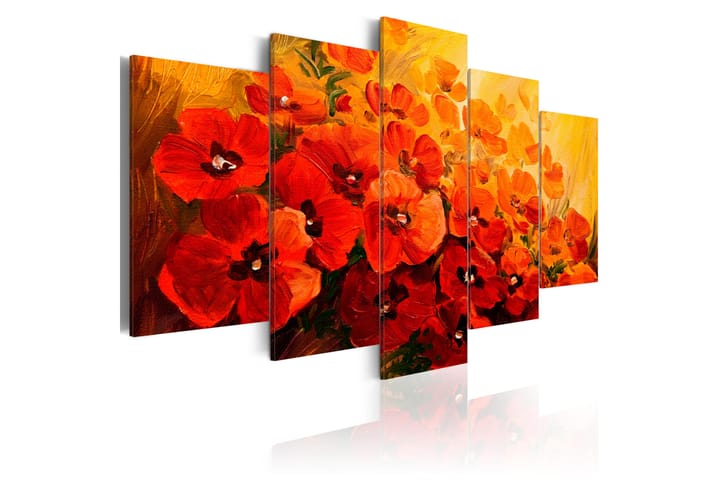 Taulu Land of Poppies 100x50 - Artgeist sp. z o. o. - Sisustustuotteet - Taulu & taide - Canvas-taulu