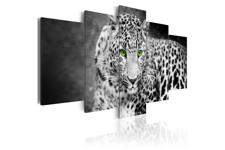 Taulu Leopard Black&White 200x100 - Artgeist sp. z o. o. - Sisustustuotteet - Taulu & taide - Canvas-taulu