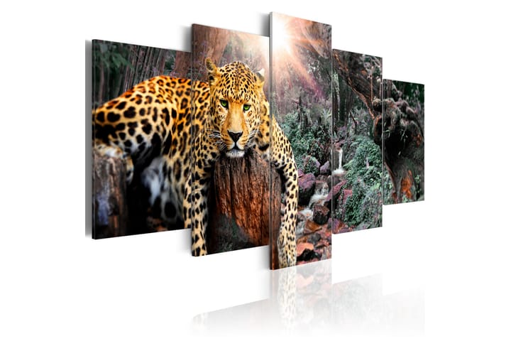 Taulu Leopard Relaxation 100x50 - Artgeist sp. z o. o. - Sisustustuotteet - Taulu & taide - Canvas-taulu