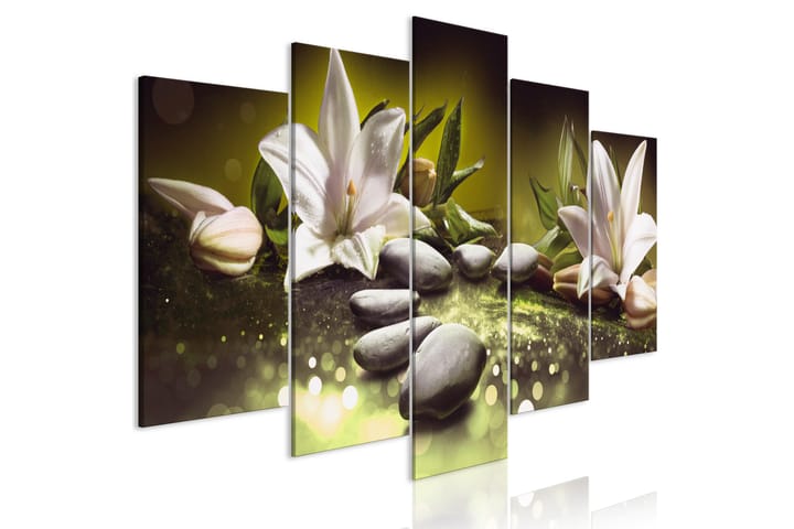 Taulu Lilies And Kivis 5 Parts Wide Green 100x50 - Artgeist sp. z o. o. - Sisustustuotteet - Taulu & taide - Canvas-taulu