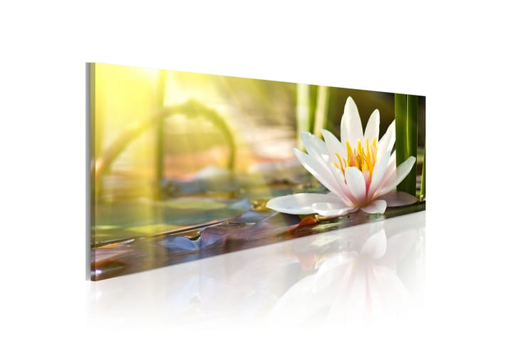 Taulu Lotus' Glow 135x45 - Artgeist sp. z o. o. - Sisustustuotteet - Taulu & taide - Canvas-taulu