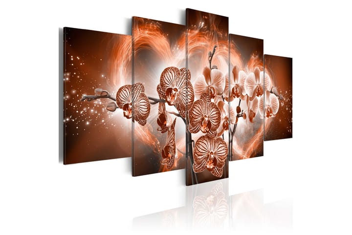 Taulu Love Orchids 100x50 - Artgeist sp. z o. o. - Sisustustuotteet - Taulu & taide - Canvas-taulu