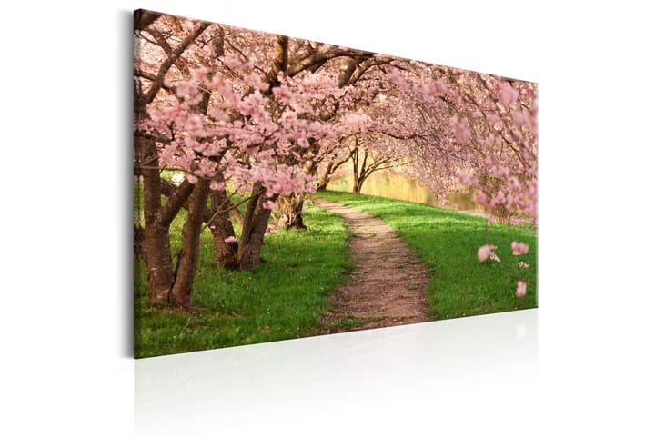 Taulu Lovers Path 60x40 - Artgeist sp. z o. o. - Sisustustuotteet - Taulu & taide - Canvas-taulu