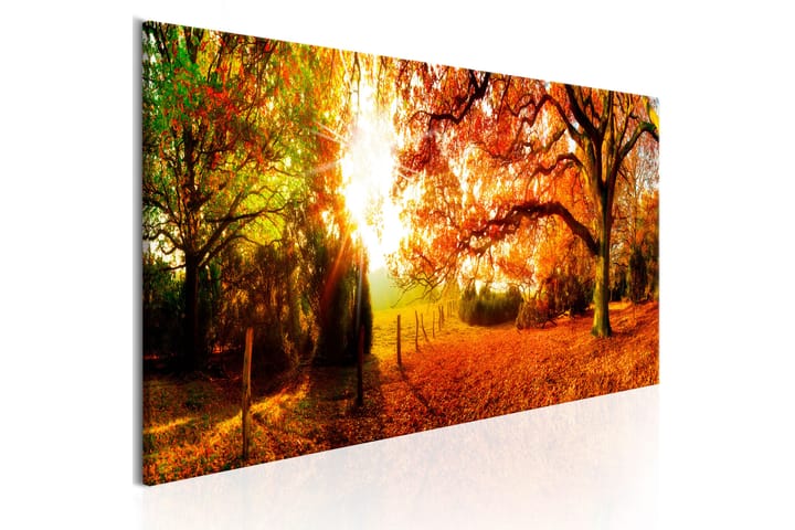 Taulu Magic of Autumn 120x40 - Artgeist sp. z o. o. - Canvas-taulu - Seinäkoristeet