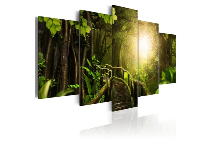 Taulu Magical Jungle 100x50 - Artgeist sp. z o. o. - Sisustustuotteet - Taulu & taide - Canvas-taulu