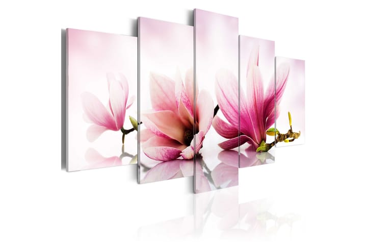 Taulu Magnolias Pink Flowers 200x100 - Artgeist sp. z o. o. - Sisustustuotteet - Taulu & taide - Canvas-taulu