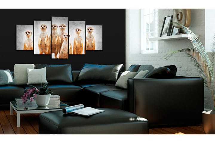 Taulu Meerkats 100x50 - Artgeist sp. z o. o. - Sisustustuotteet - Taulu & taide - Canvas-taulu