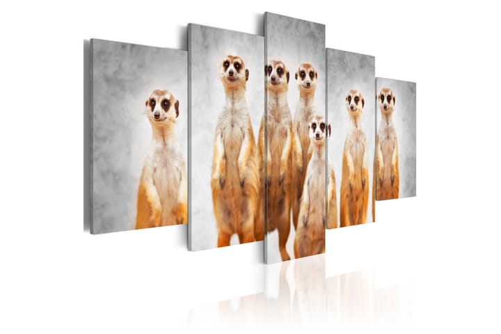 Taulu Meerkats 100x50 - Artgeist sp. z o. o. - Sisustustuotteet - Taulu & taide - Canvas-taulu