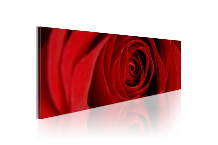 Taulu Midnight Rose 135x45 - Artgeist sp. z o. o. - Sisustustuotteet - Taulu & taide - Canvas-taulu