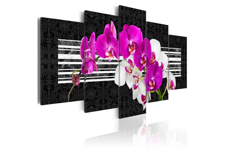 Taulu Modest Orchids 200x100 - Artgeist sp. z o. o. - Sisustustuotteet - Taulu & taide - Canvas-taulu