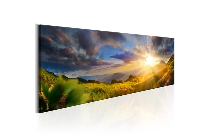 Taulu Morning Enchantment 120x40 - Artgeist sp. z o. o. - Sisustustuotteet - Taulu & taide - Canvas-taulu