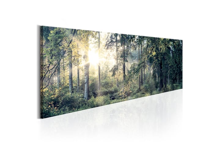 Taulu Morning Magic 120x40 - Artgeist sp. z o. o. - Sisustustuotteet - Taulu & taide - Canvas-taulu