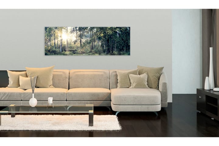 Taulu Morning Magic 120x40 - Artgeist sp. z o. o. - Sisustustuotteet - Taulu & taide - Canvas-taulu