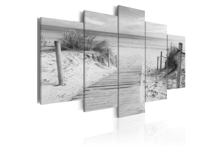 Taulu Morning On The Beach Black And White 100x50 - Artgeist sp. z o. o. - Sisustustuotteet - Taulu & taide - Canvas-taulu