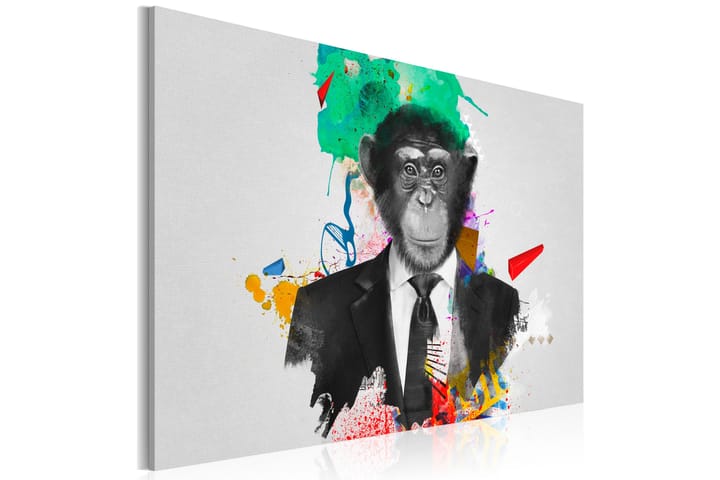 Taulu Mr Monkey 120x80 - Artgeist sp. z o. o. - Sisustustuotteet - Taulu & taide - Canvas-taulu