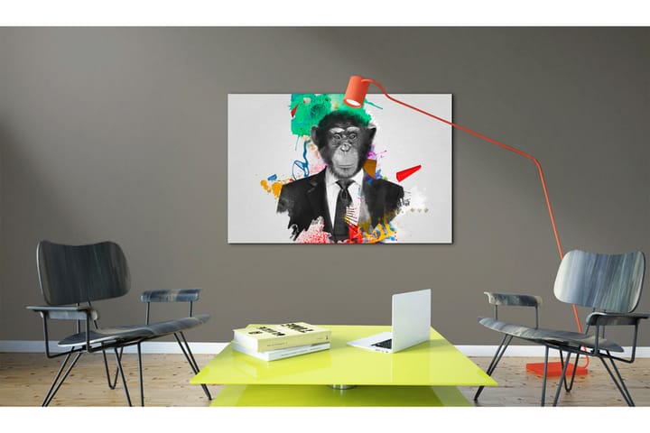 Taulu Mr Monkey 120x80 - Artgeist sp. z o. o. - Sisustustuotteet - Taulu & taide - Canvas-taulu