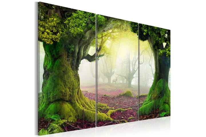 Taulu Mysterious Forest Triptych 60x40 - Artgeist sp. z o. o. - Sisustustuotteet - Taulu & taide - Canvas-taulu