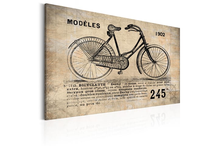 Taulu N° 1245 Bicyclette 120x80 - Artgeist sp. z o. o. - Canvas-taulu - Seinäkoristeet