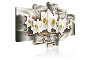 Taulu Narcissi 200x100