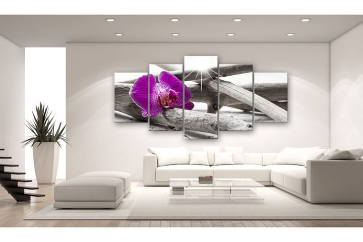 Taulu Orchid On Beach 200x100 - Artgeist sp. z o. o. - Sisustustuotteet - Taulu & taide - Canvas-taulu