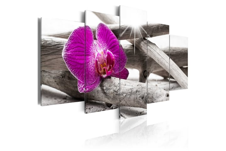 Taulu Orchid On Beach 200x100 - Artgeist sp. z o. o. - Sisustustuotteet - Taulu & taide - Canvas-taulu