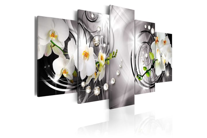 Taulu Orchid Pearls And Diamonds 100x50 - Artgeist sp. z o. o. - Sisustustuotteet - Taulu & taide - Canvas-taulu