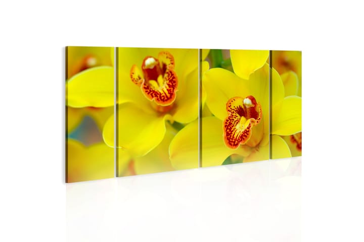 Taulu Orchids Intensity Of Yellow Color 60x30 - Artgeist sp. z o. o. - Sisustustuotteet - Taulu & taide - Canvas-taulu