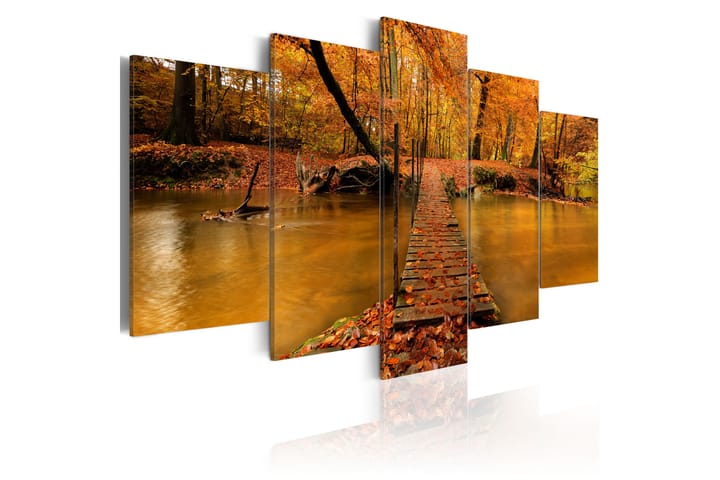 Taulu Redness Of Autumn 100x50 - Artgeist sp. z o. o. - Sisustustuotteet - Taulu & taide - Canvas-taulu