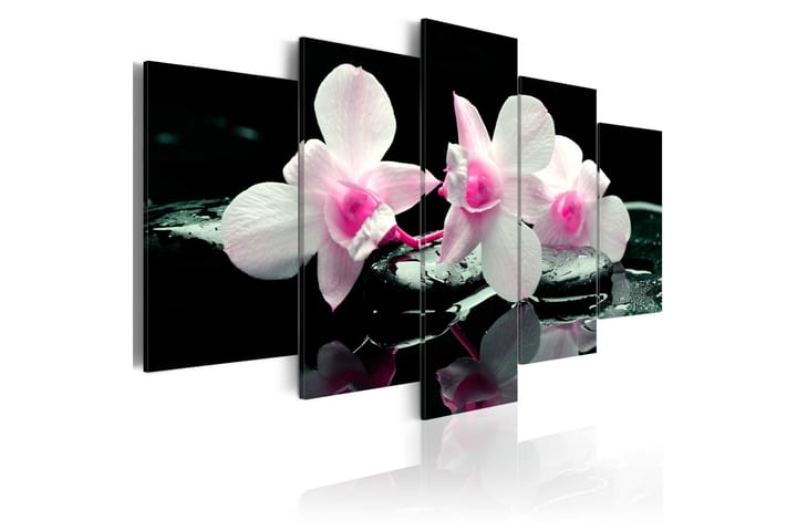 Taulu Rest Of Orchids 100x50 - Artgeist sp. z o. o. - Sisustustuotteet - Taulu & taide - Canvas-taulu