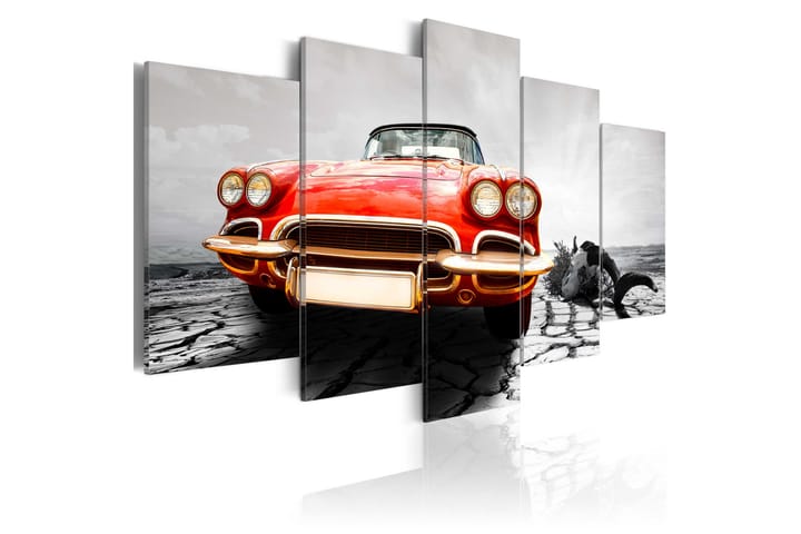 Taulu Scarlet Arrow 200x100 - Artgeist sp. z o. o. - Sisustustuotteet - Taulu & taide - Canvas-taulu