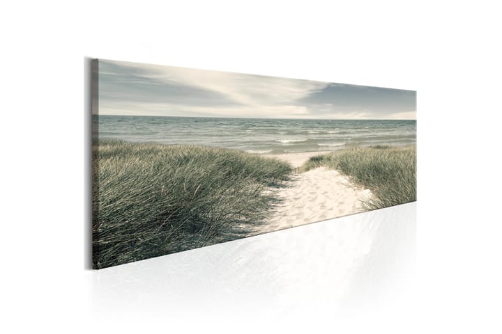 Taulu Secrets of the Sea 120x40 - Artgeist sp. z o. o. - Sisustustuotteet - Taulu & taide - Canvas-taulu