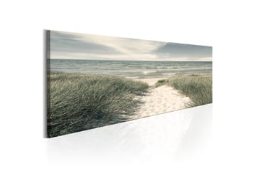 Taulu Secrets of the Sea 135x45