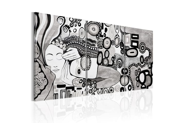 Taulu Silver Kiss 120x60 - Artgeist sp. z o. o. - Sisustustuotteet - Taulu & taide - Canvas-taulu