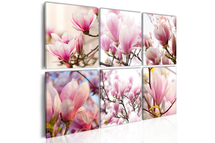 Taulu Southern Magnolias 60x40 - Artgeist sp. z o. o. - Sisustustuotteet - Taulu & taide - Canvas-taulu