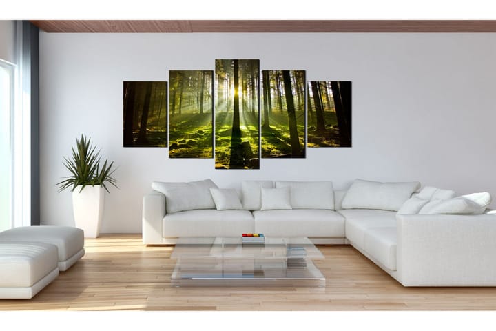 Taulu Spring Silence 100x50 - Artgeist sp. z o. o. - Canvas-taulu - Seinäkoristeet