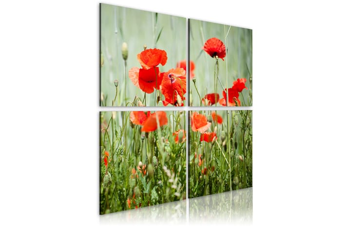 Taulu Springtime 80x80 - Artgeist sp. z o. o. - Sisustustuotteet - Taulu & taide - Canvas-taulu