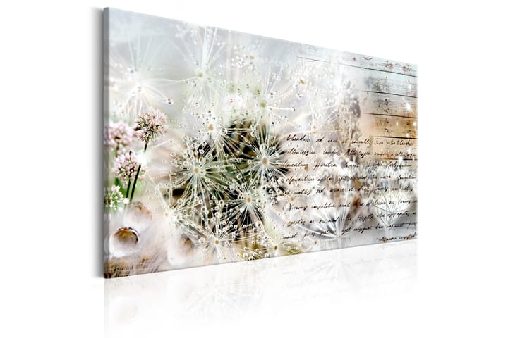 Taulu Starry Dandelions 120x80 - Artgeist sp. z o. o. - Canvas-taulu - Seinäkoristeet