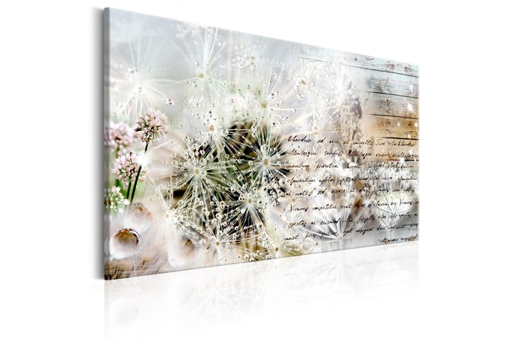 Taulu Starry Dandelions 90x60 - Artgeist sp. z o. o. - Canvas-taulu - Seinäkoristeet