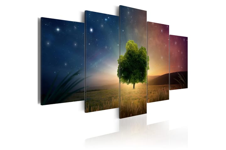 Taulu Starry Nights 200x100 - Artgeist sp. z o. o. - Sisustustuotteet - Taulu & taide - Canvas-taulu