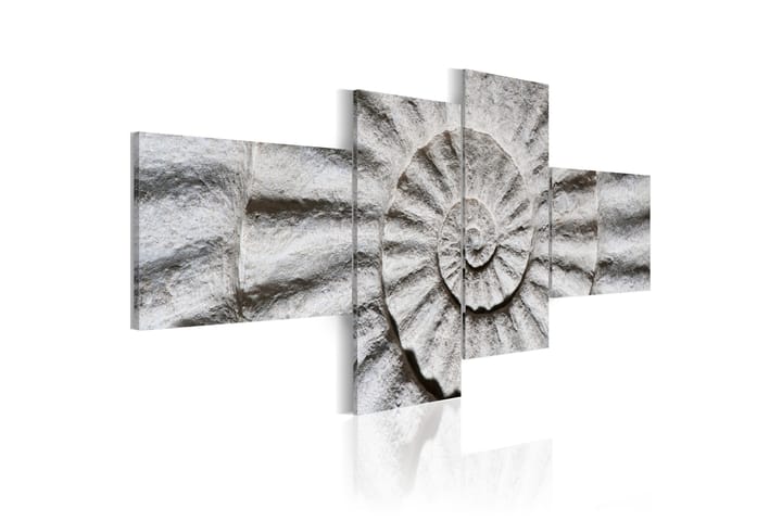 Taulu Stone Shell 100x45 - Artgeist sp. z o. o. - Canvas-taulu - Seinäkoristeet